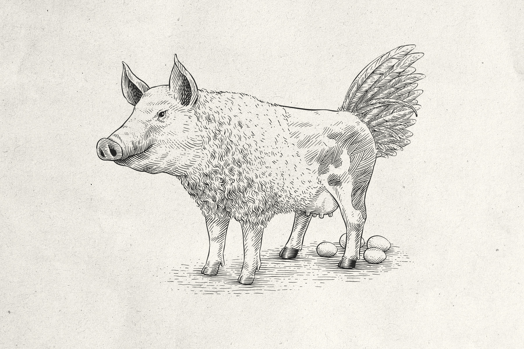 Zeichnung eines eierlegenden Schweins mit Federn